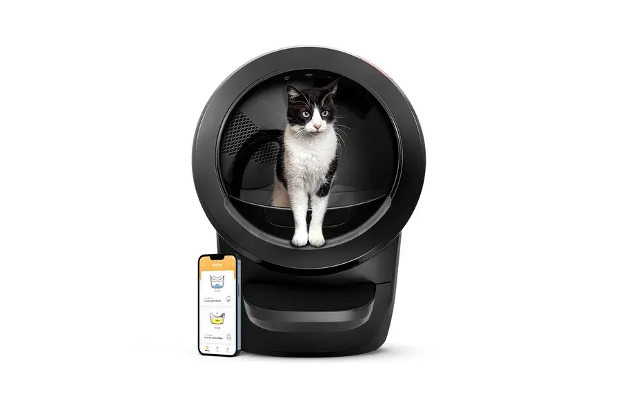 Svart Litter-Robot 4 med en svart og hvit katt i den runde inngangen og en mobil med appen ved siden av